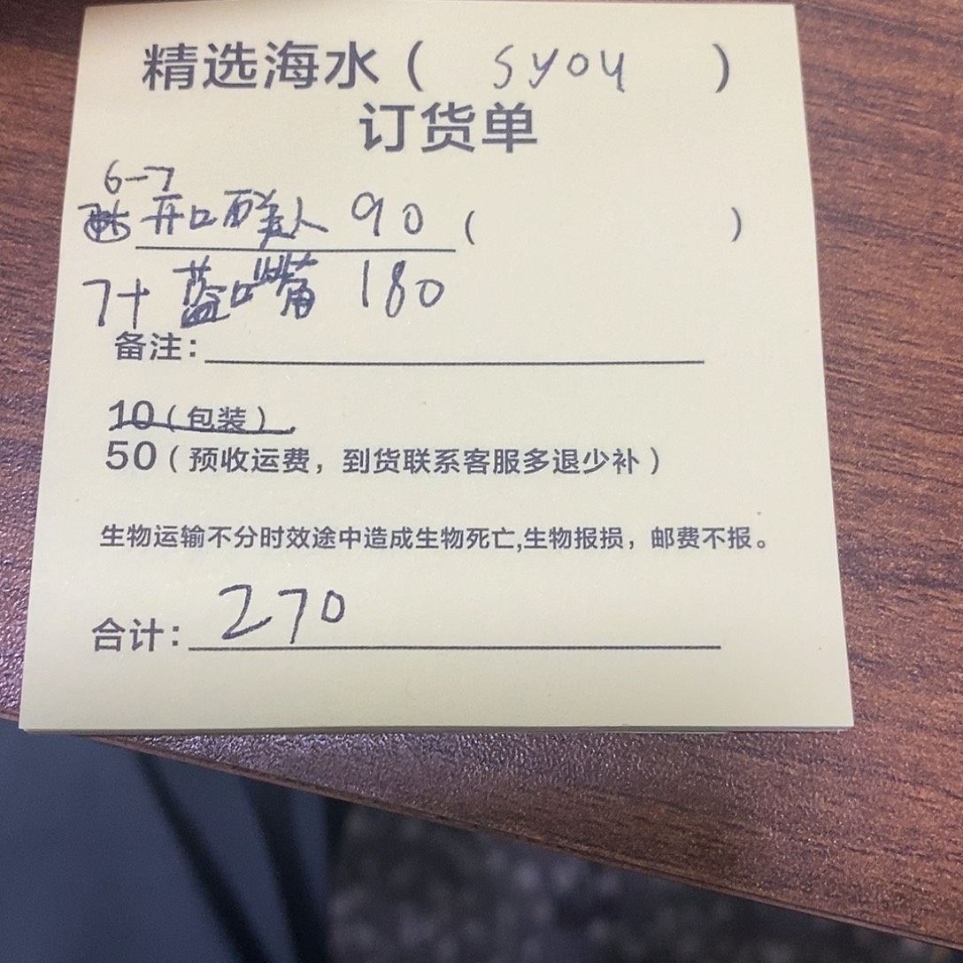 海水鱼蓝嘴，石美人