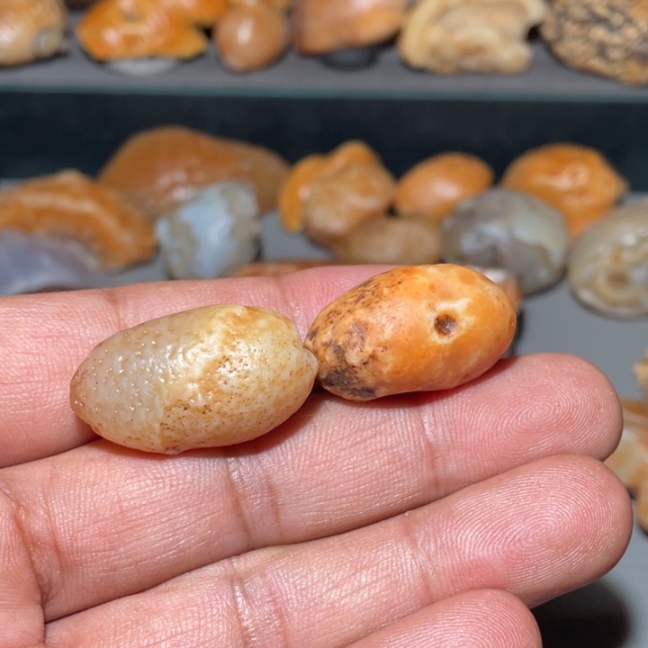 殊***海石材阿拉善沙漠奇石
