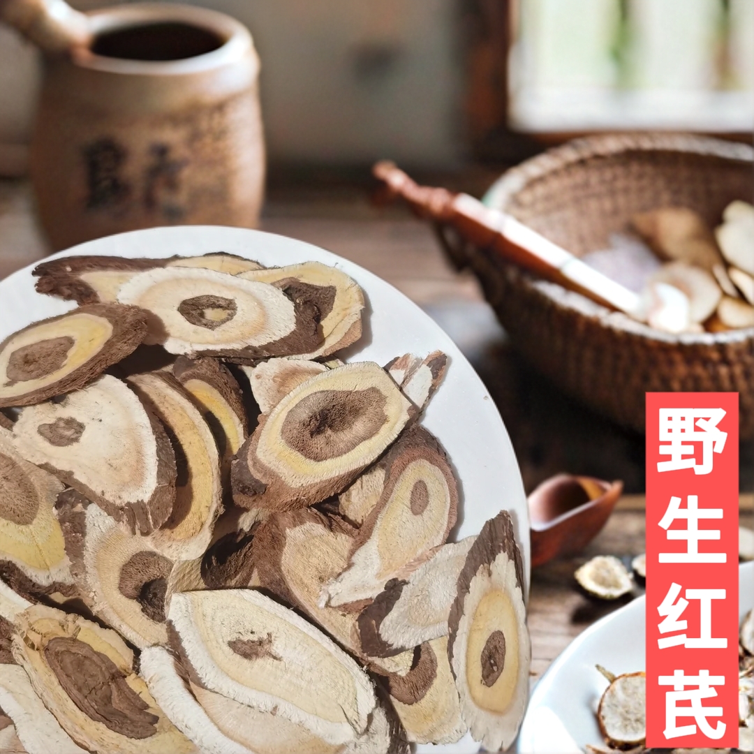 甘肃深山采挖非种植红芪