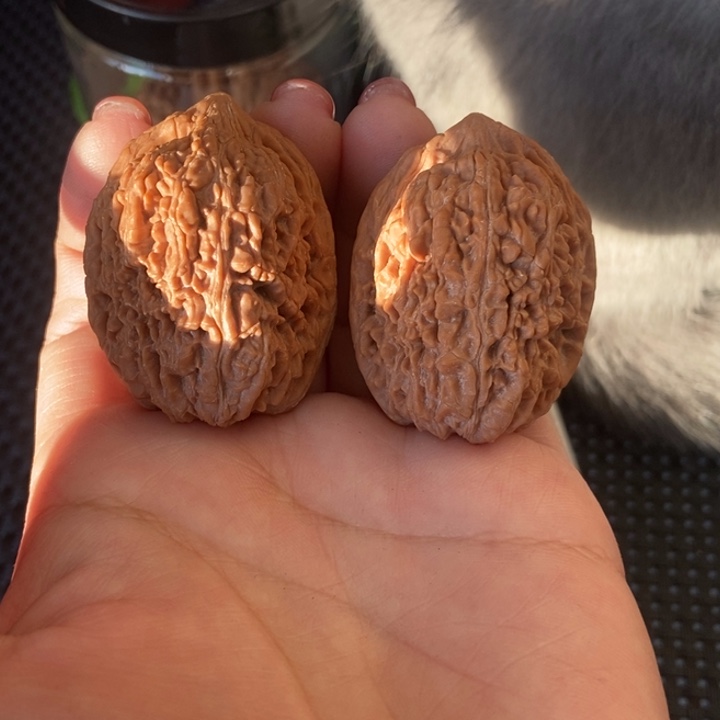 吊坠猴头核桃33蒜头