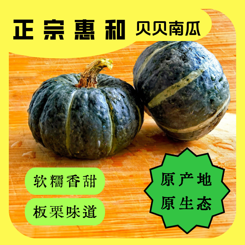 惠和一号贝贝南瓜板栗味粉糯香甜新鲜可作宝宝辅食沙地