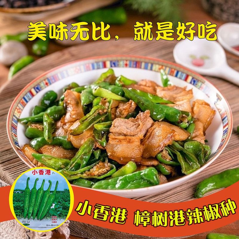 香辣樟树港辣椒种子萧新小香港杭椒线椒小米辣美人椒辣椒种子盆栽