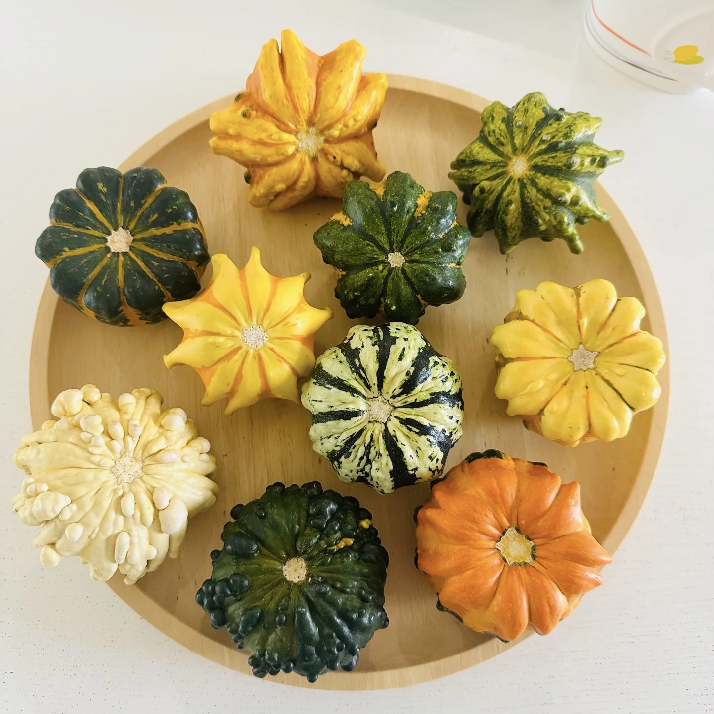 E101墨西哥七彩疙瘩葫芦摆件高端把玩天然原皮云南基地直采