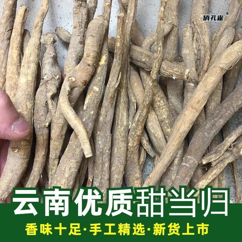【甜当归】甜当归 云南山货下山