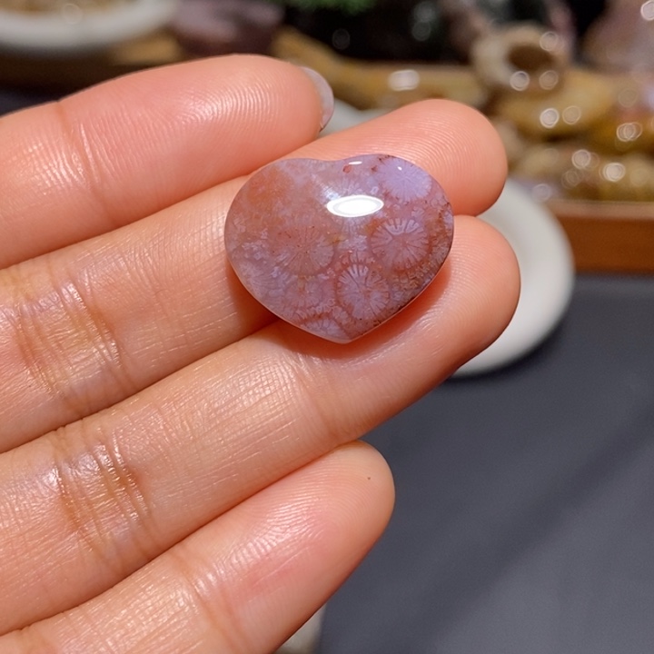 【闪购商品】未镶嵌珊瑚玉硅化玉