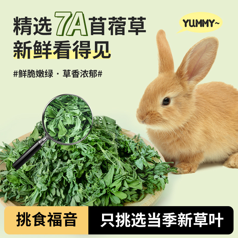 苜蓿草苜宿草干草兔子粮豚鼠幼兔食饲料食用龙猫的吃兔粮紫花
