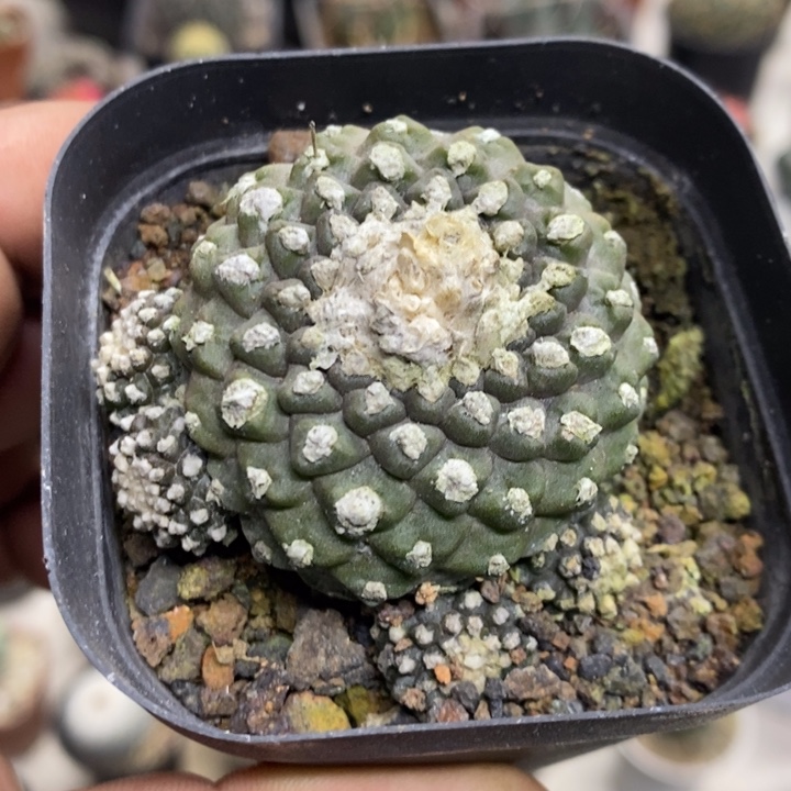 墨碟群特价福利特价