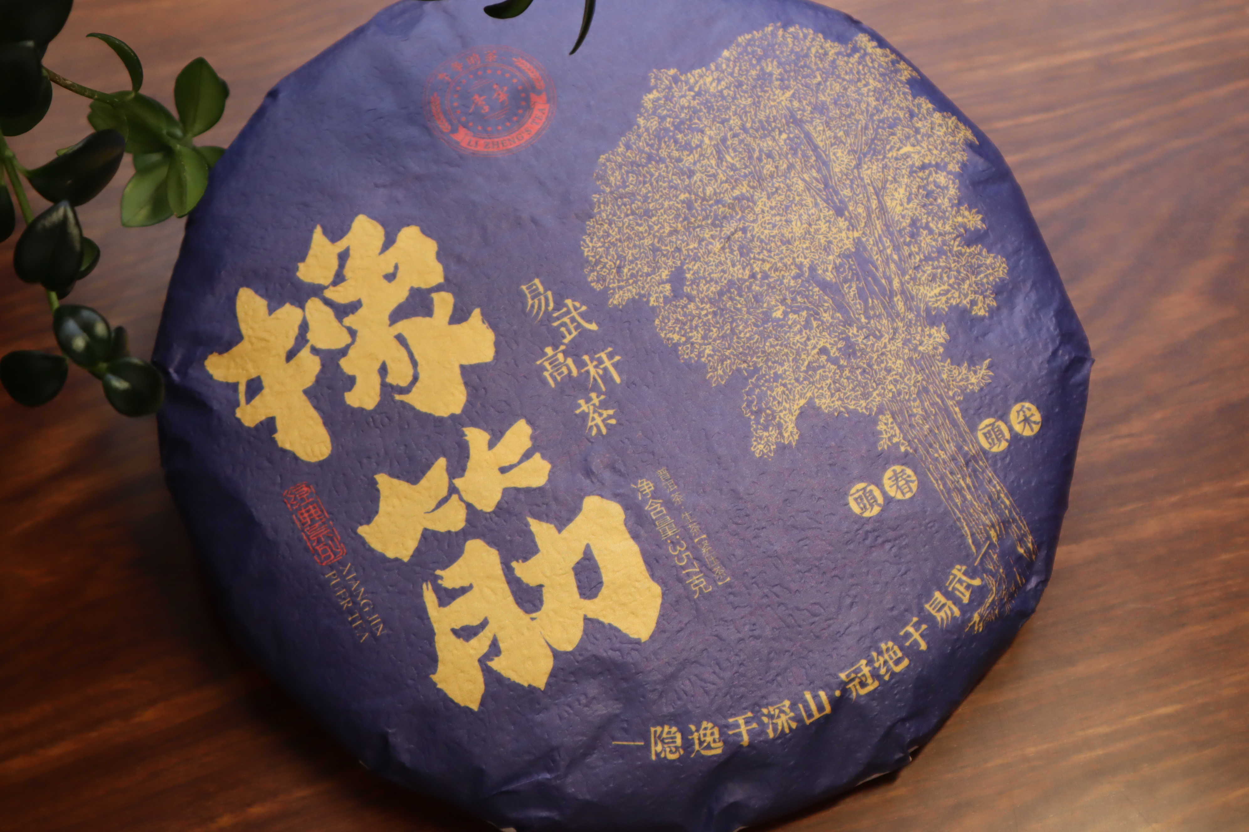 橡筋饼 普洱生茶