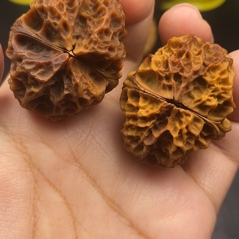 文玩核桃把件40尺云南核桃