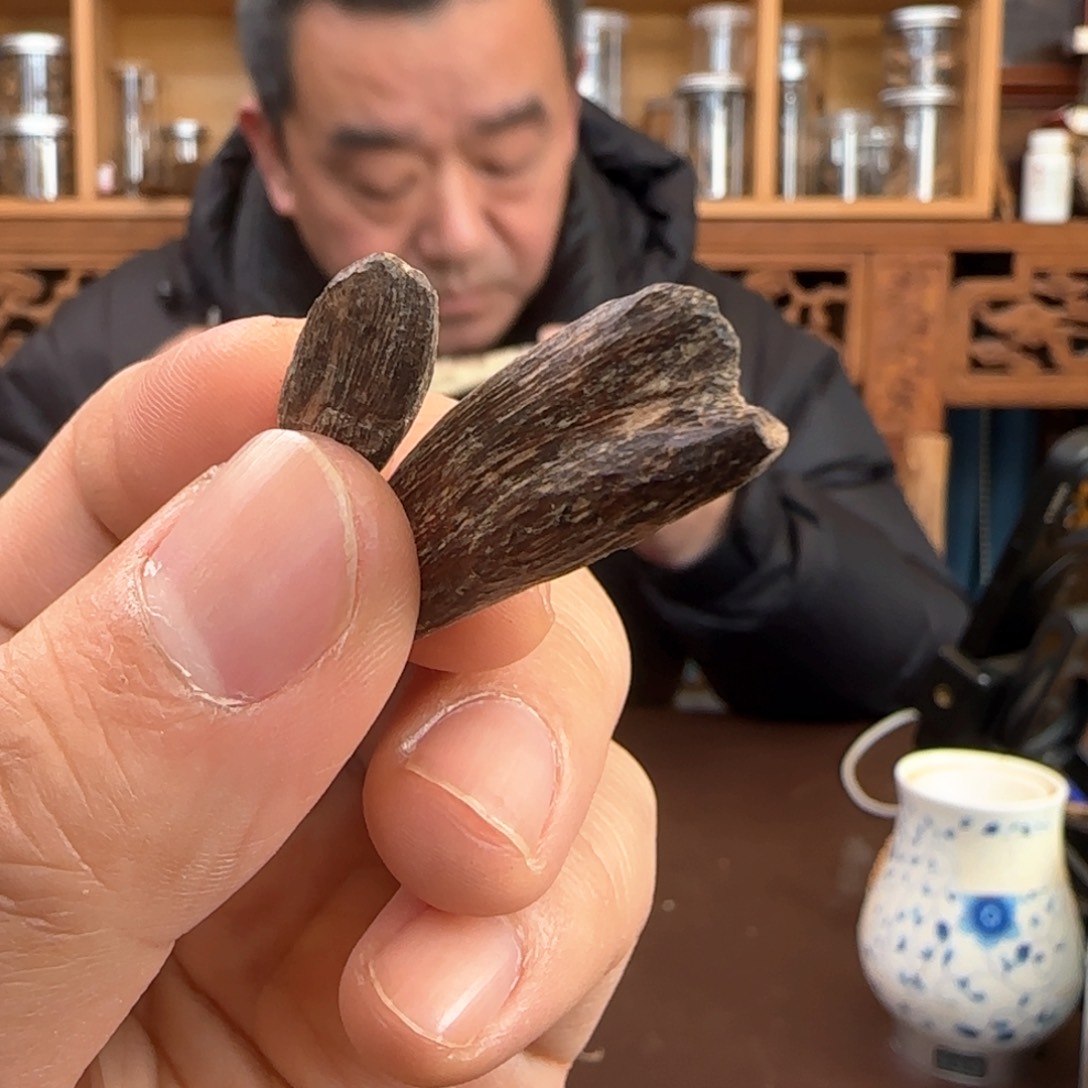 沉香摆件香港沉香虫眼料1克不挑多样发货