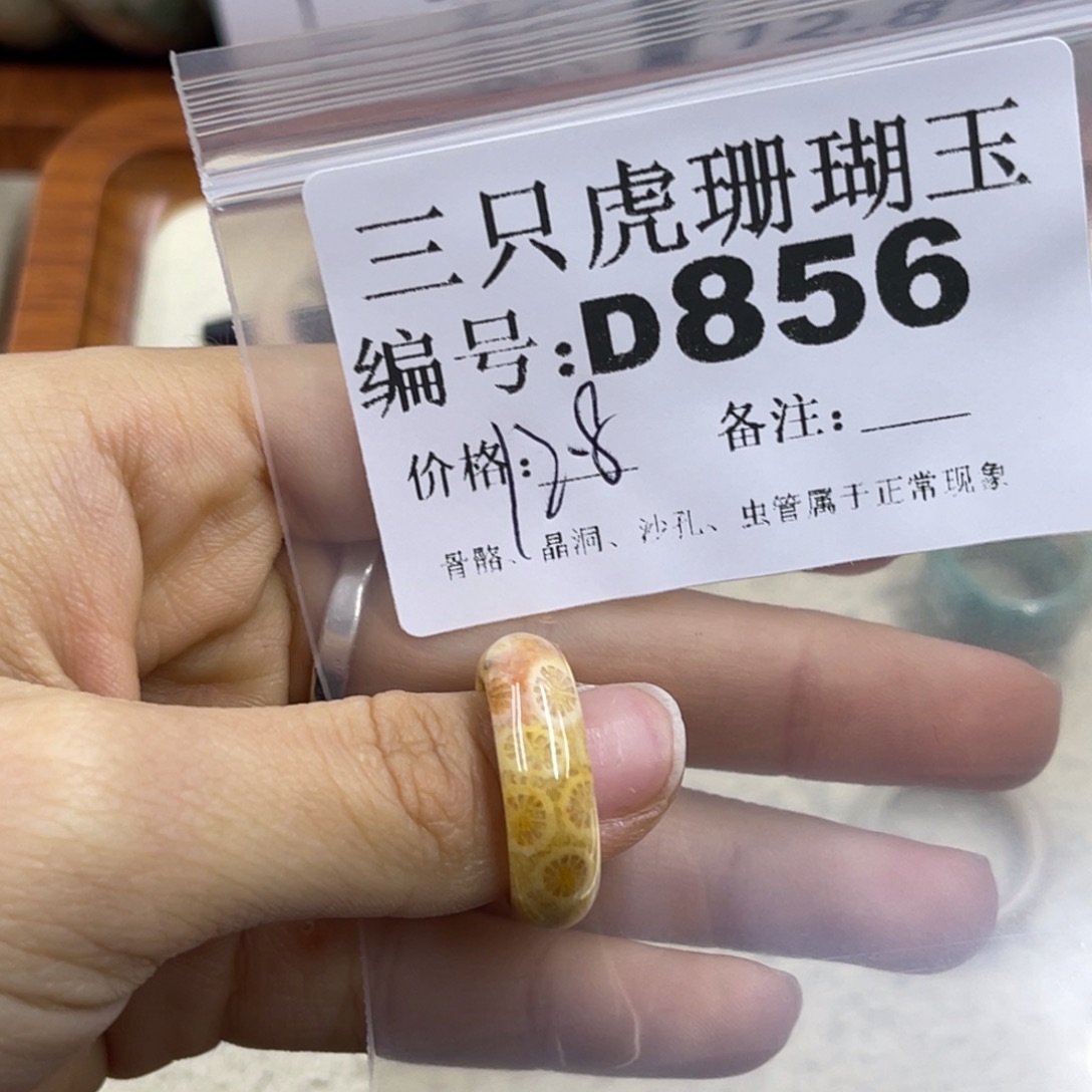 r***店硅化珊瑚（珊瑚玉）未镶嵌h