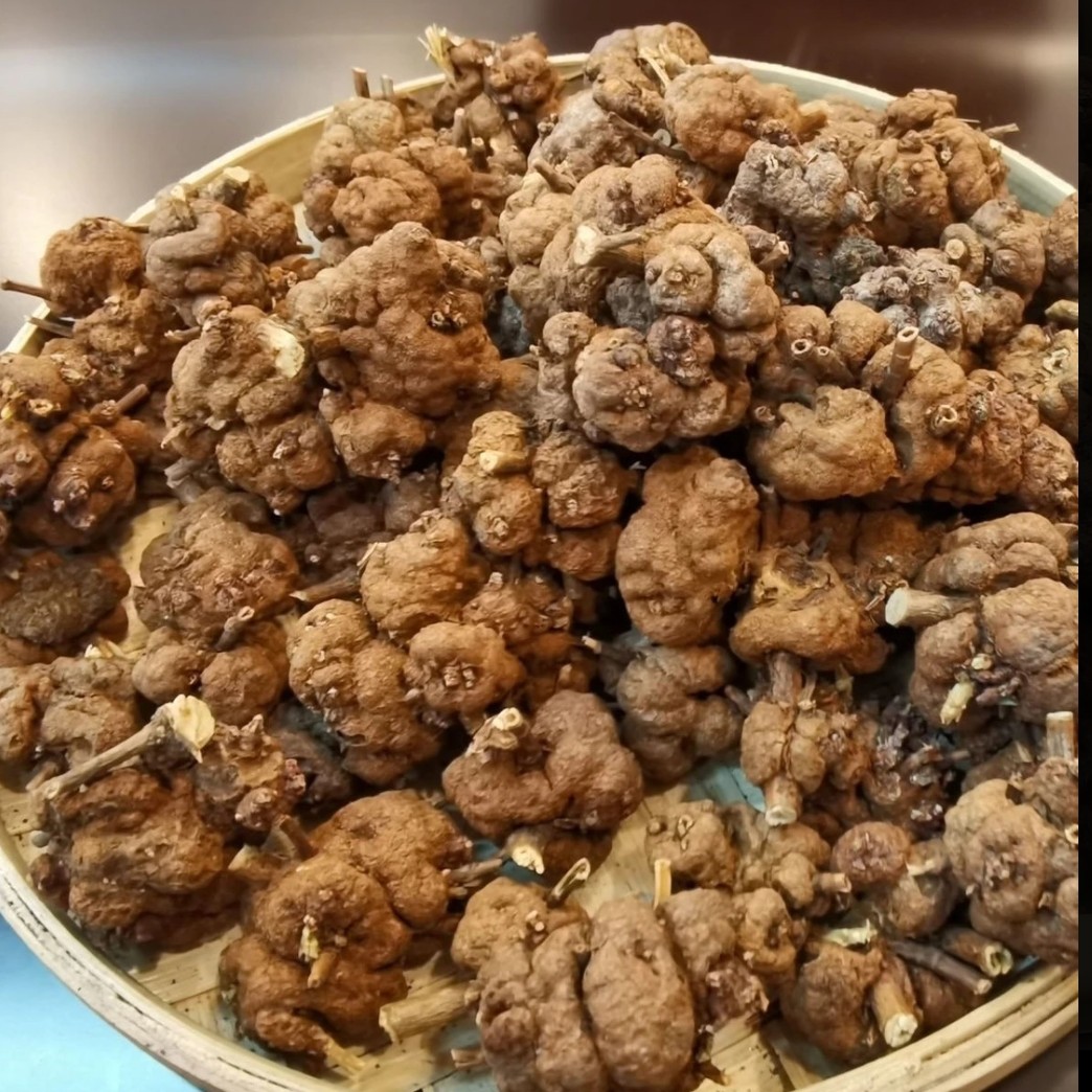 小宇收山货-肖-六～果