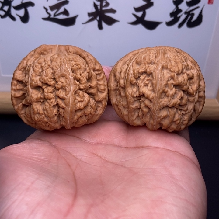 核桃全品平谷大粗筋