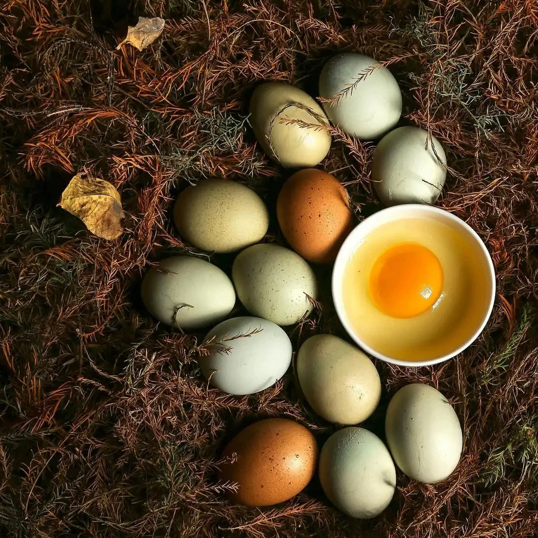 湘西农家散养鸡蛋30枚