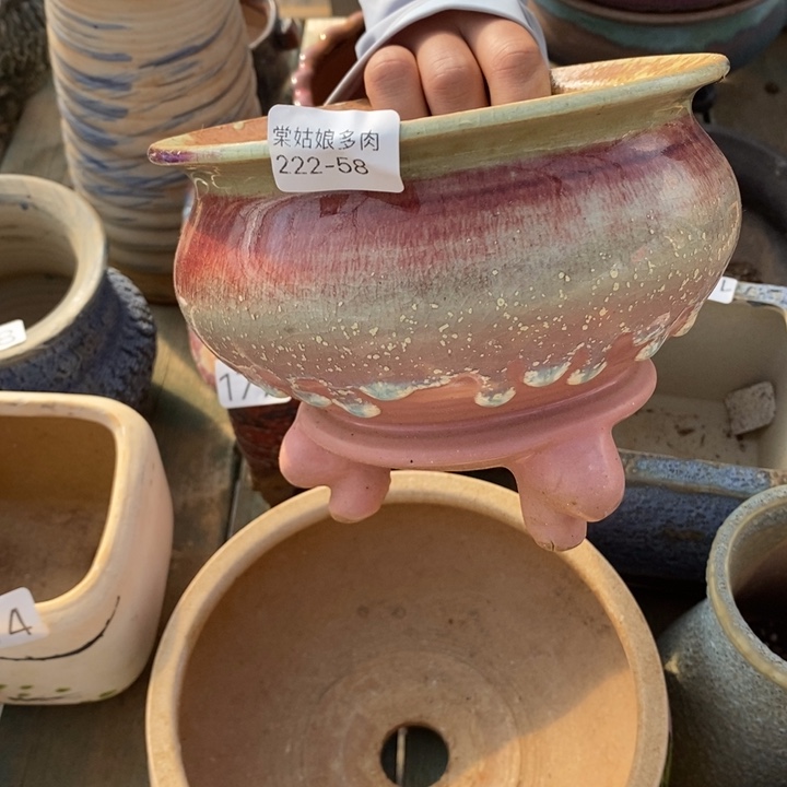 红陶z****v58号的多肉花盆一个