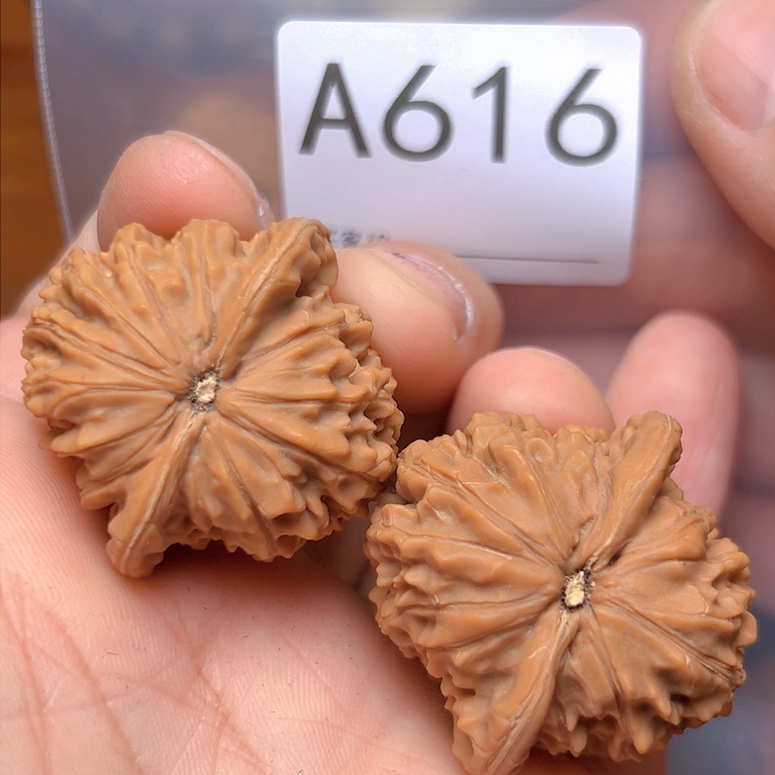 文玩核桃吊坠36➕定风珠