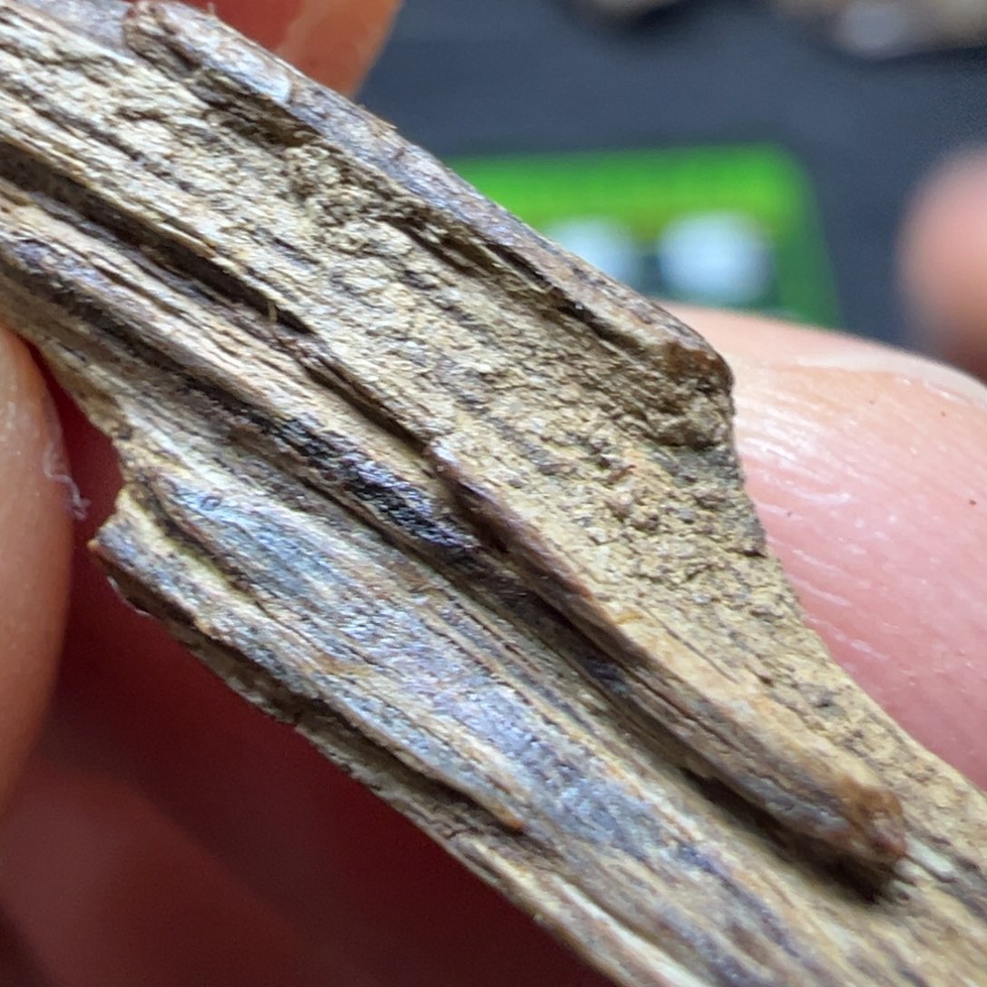 ᅟ***⸜沉香碎屑沉香海南沉水土熟树壁树心油0.5g