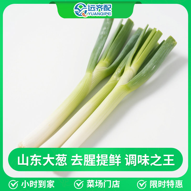 大葱 *1根