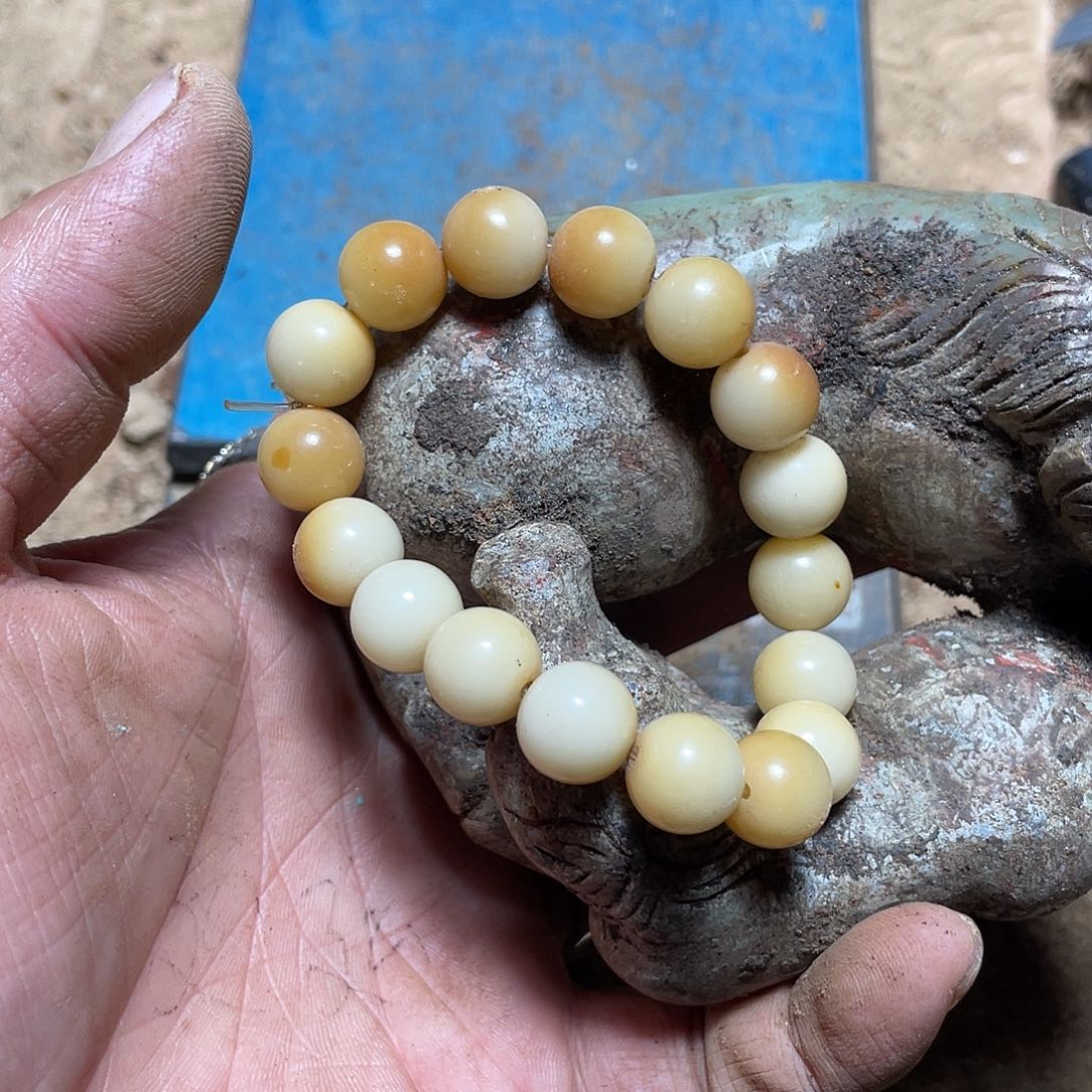 吊坠白玉菩提dhjhvvcvhjjj