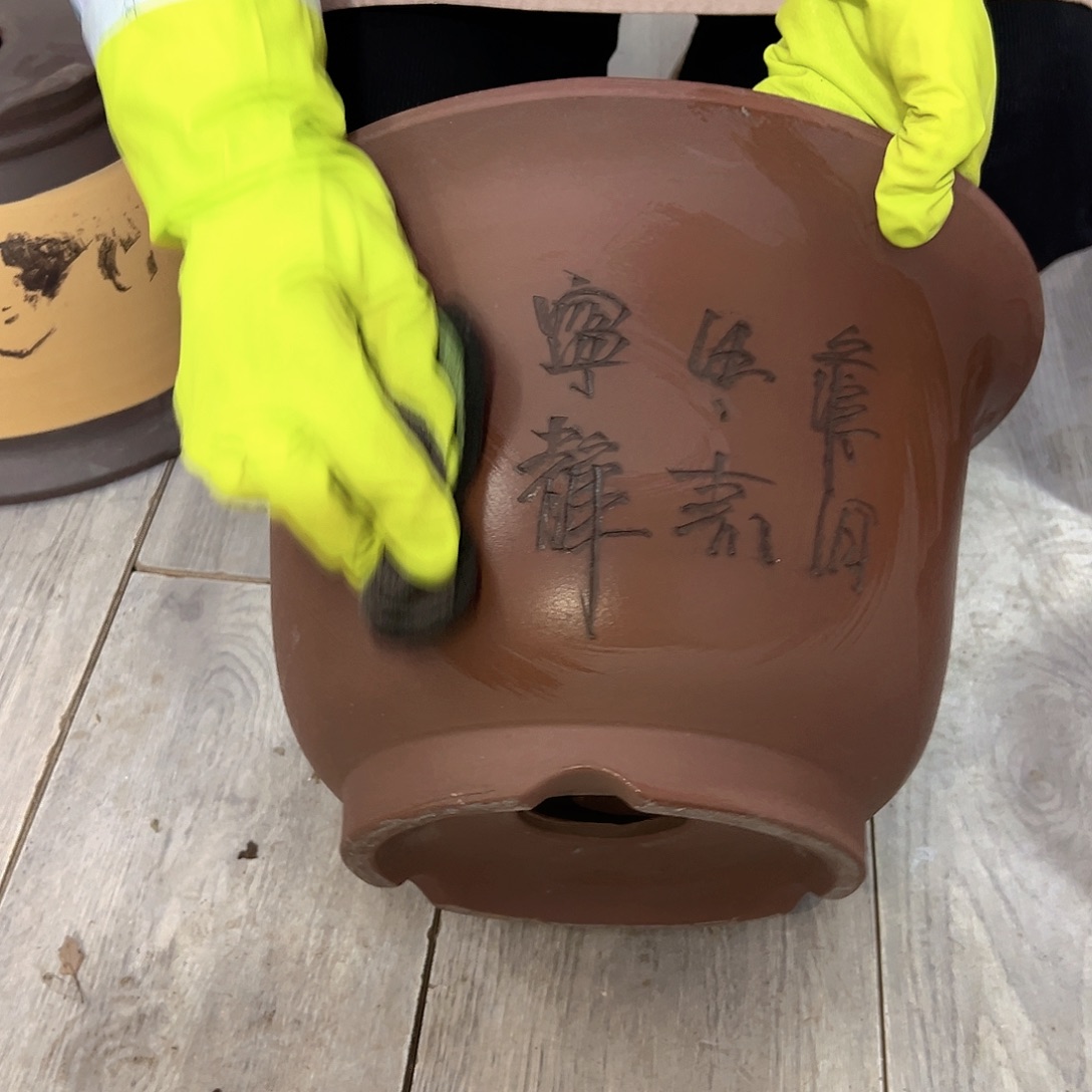 007花盆花盆花盆花盆