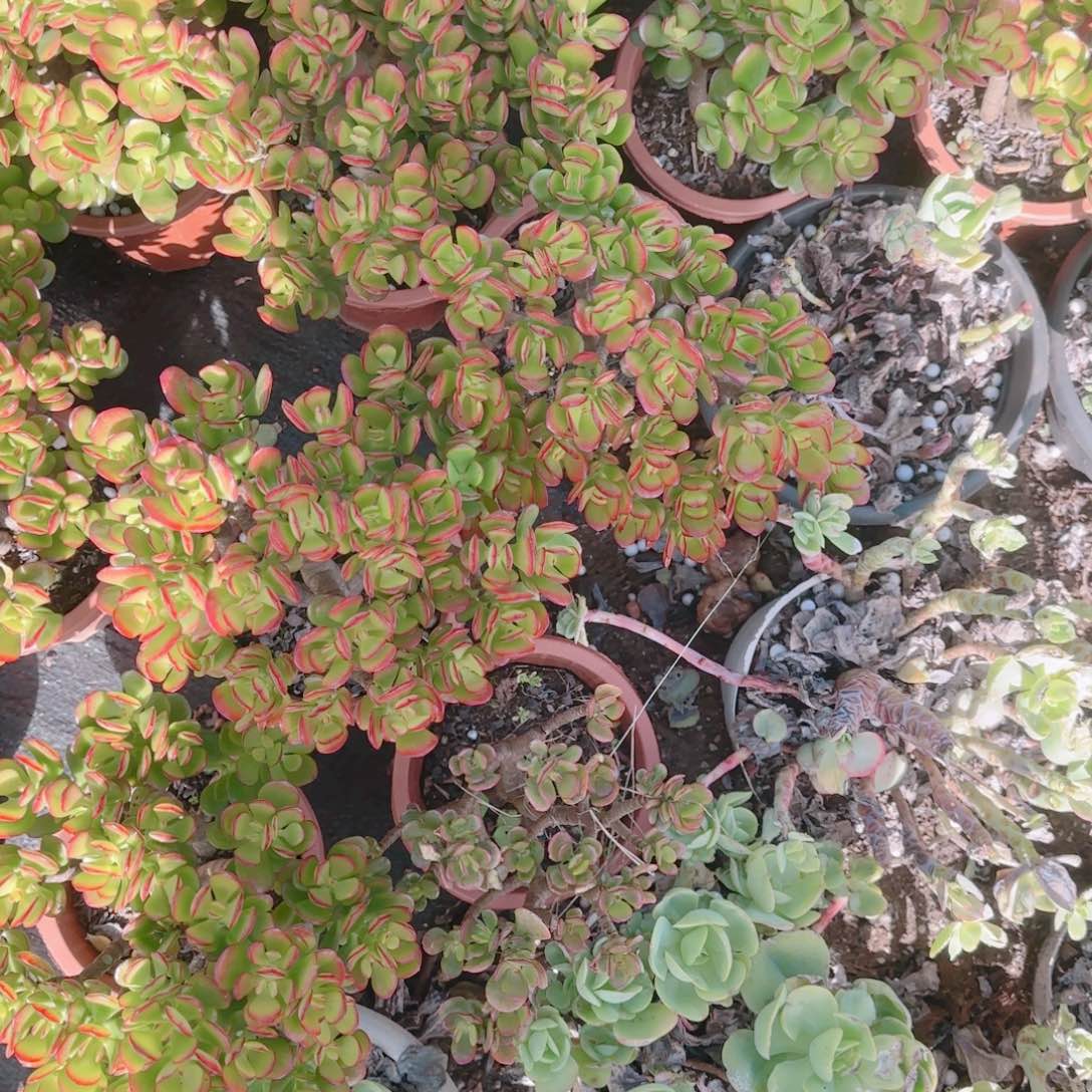 搞了几十块我觉得很难