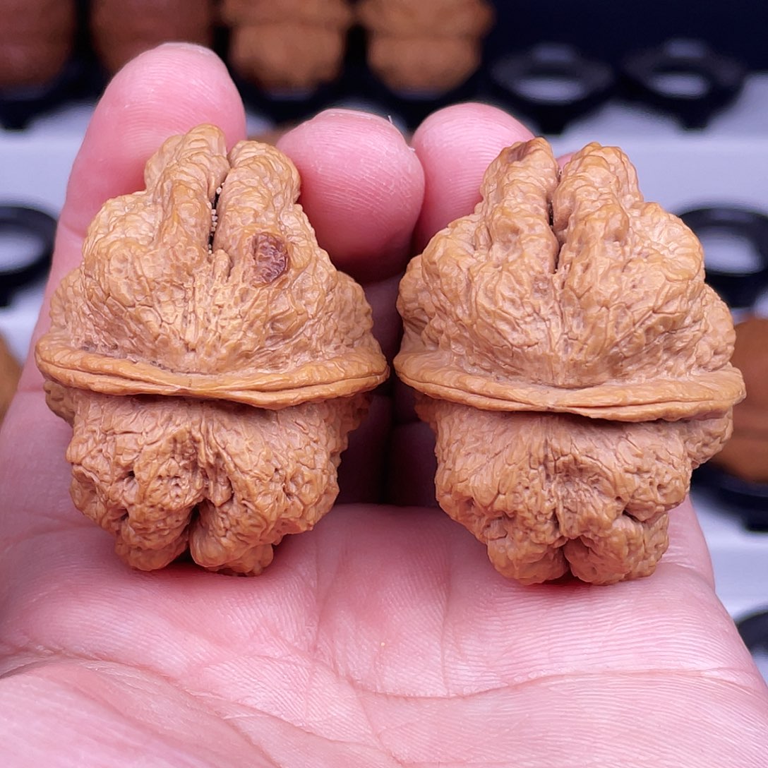 文玩核桃吊坠临沧古蟾王47尺不退不换