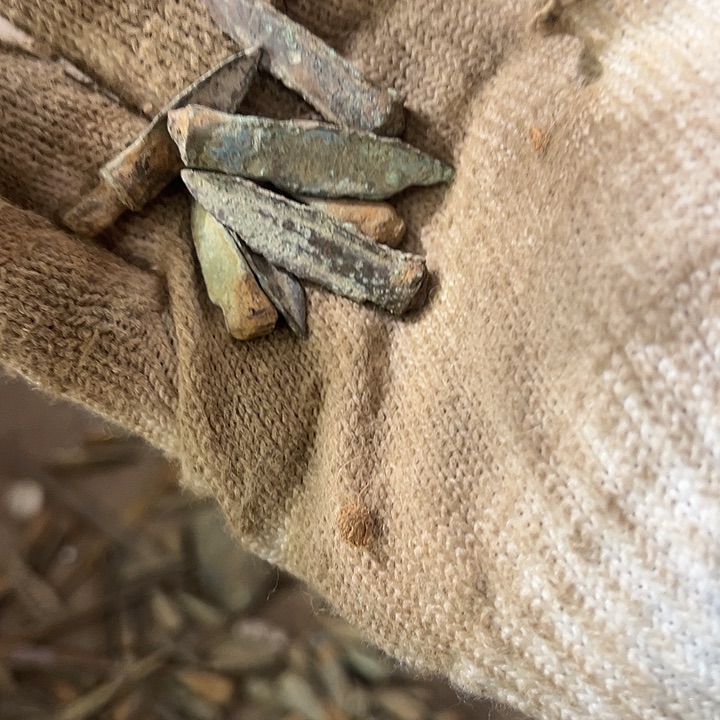 玩**刘一物一图的小杂项