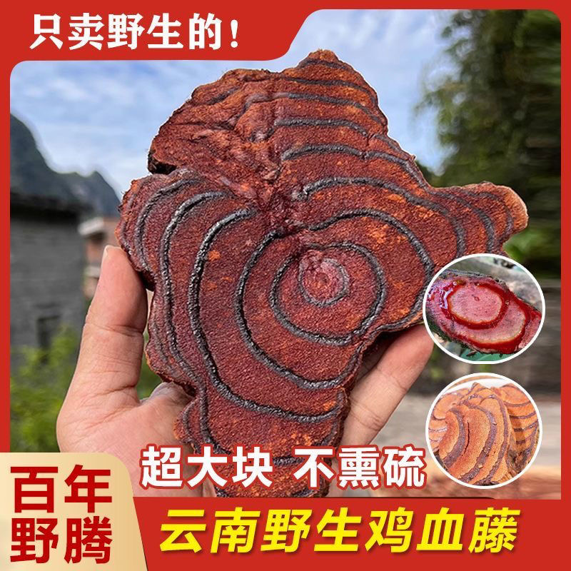 云南深山正宗鸡血藤 老藤
