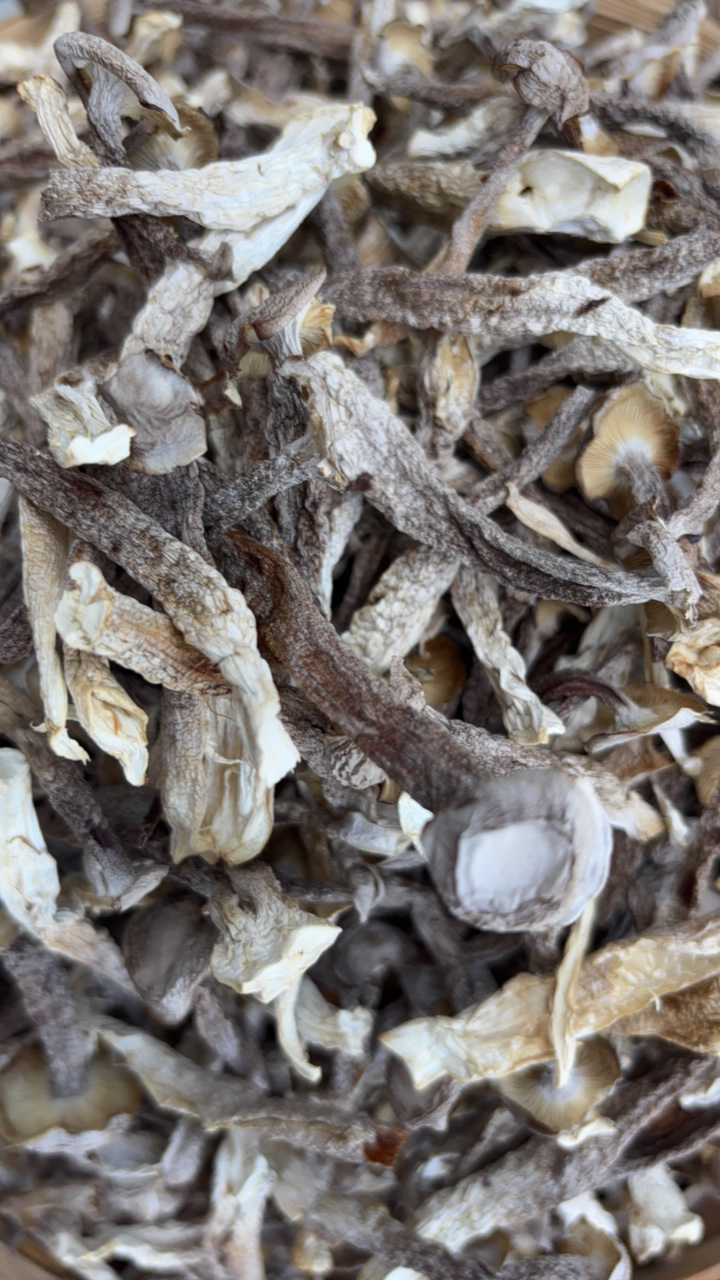 阿静精选，【鹿茸古干】