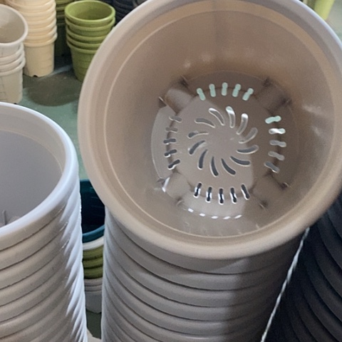 树脂四季3号灰白无托6个