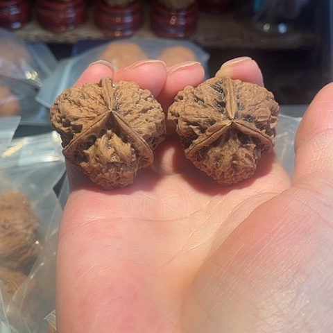 奔***果把件文玩核桃开山祖师37