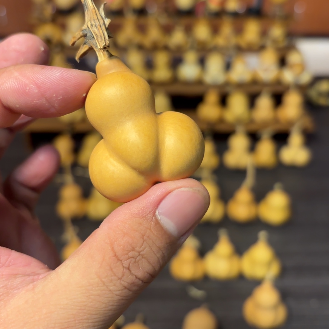 第****葫芦葫芦葫芦葫芦