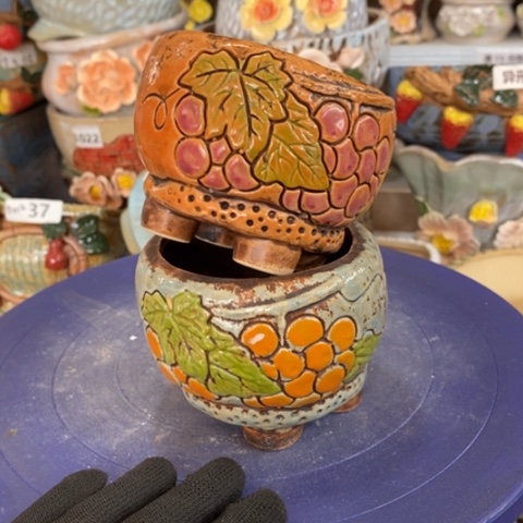 【闪购商品】红陶1