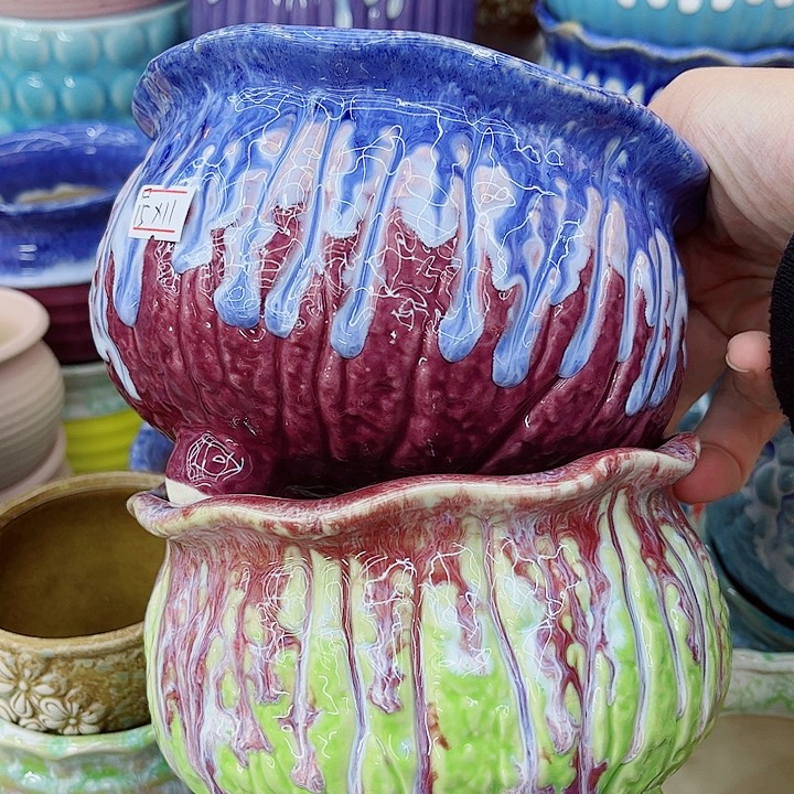 多肉植物陶瓷花盆