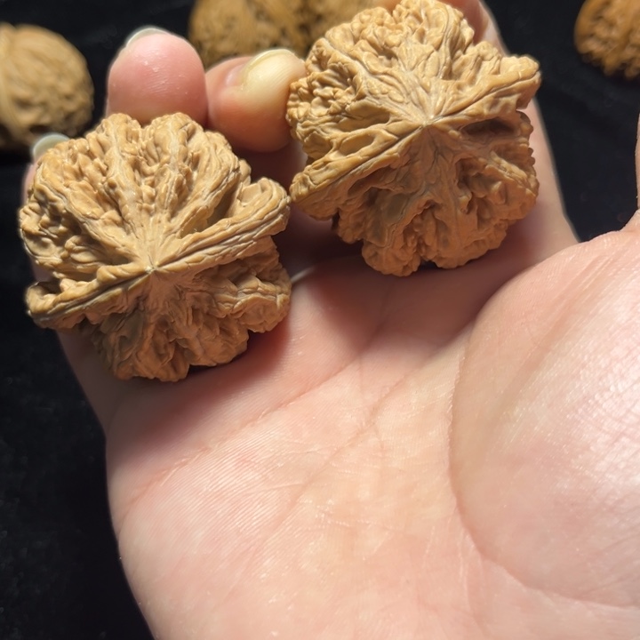 文玩核桃大粗筋46