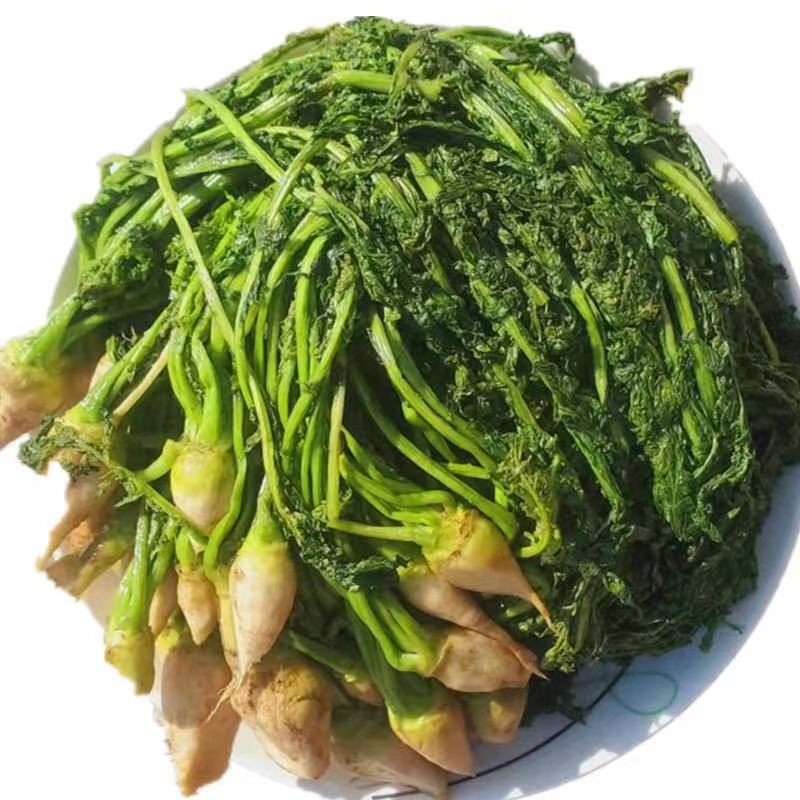 东北老式芥菜缨子咸菜
