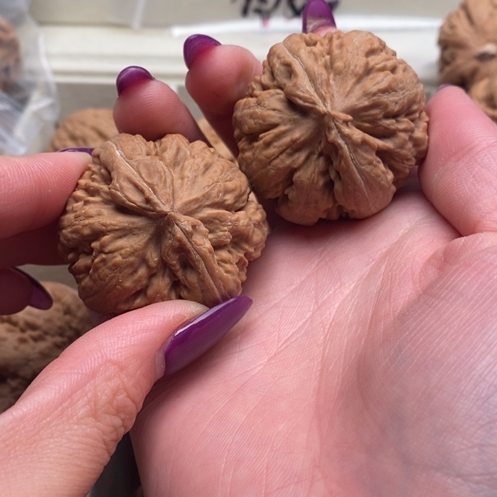 *****吊坠文玩核桃霸王龙