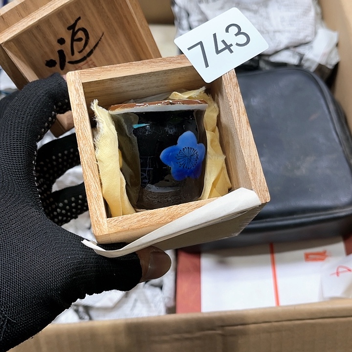 茶宠我们都是好孩子呀打脸