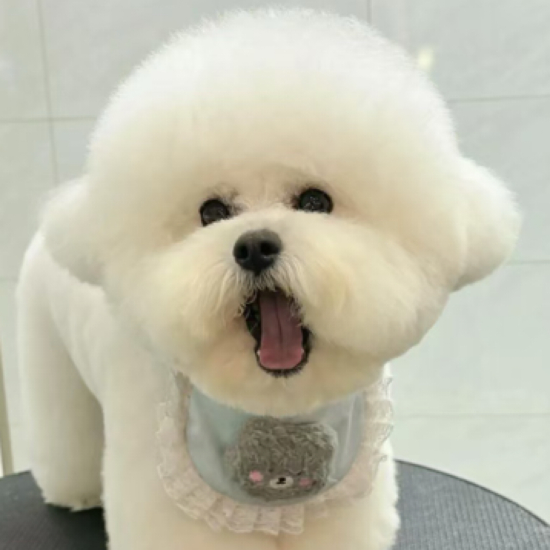 广东丹姐宠物乐园