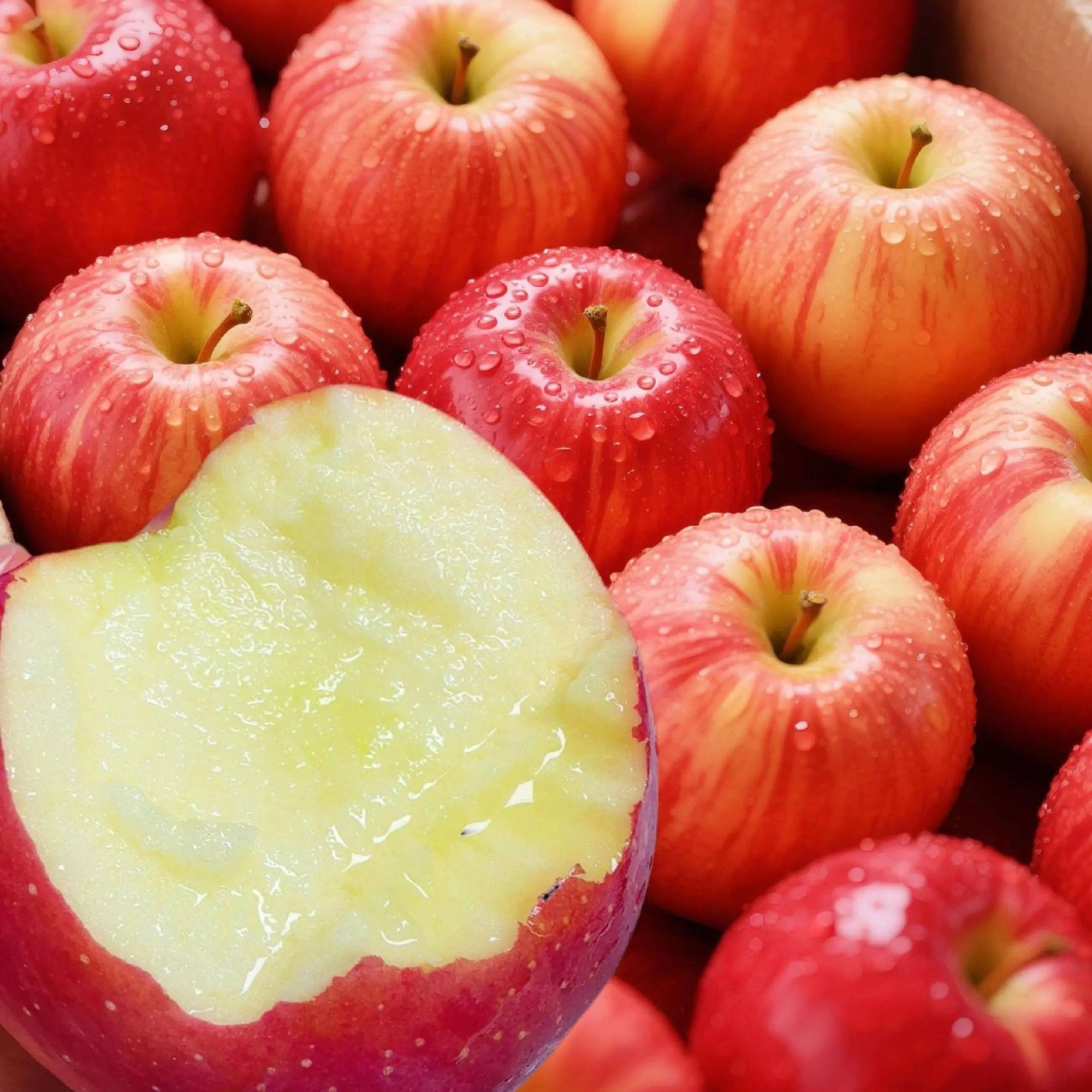 苹果新鲜现摘脆甜多汁水果