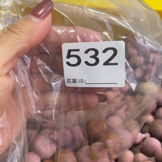 非洲紫檀（红花梨）树*