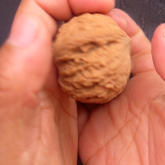 吊坠文玩核桃泥球