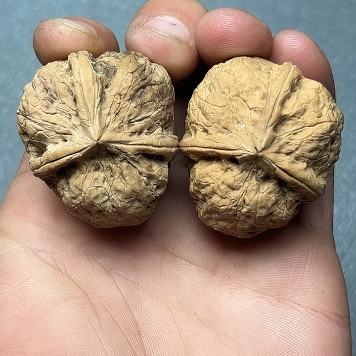 文玩核桃把件65号侵皮三楞