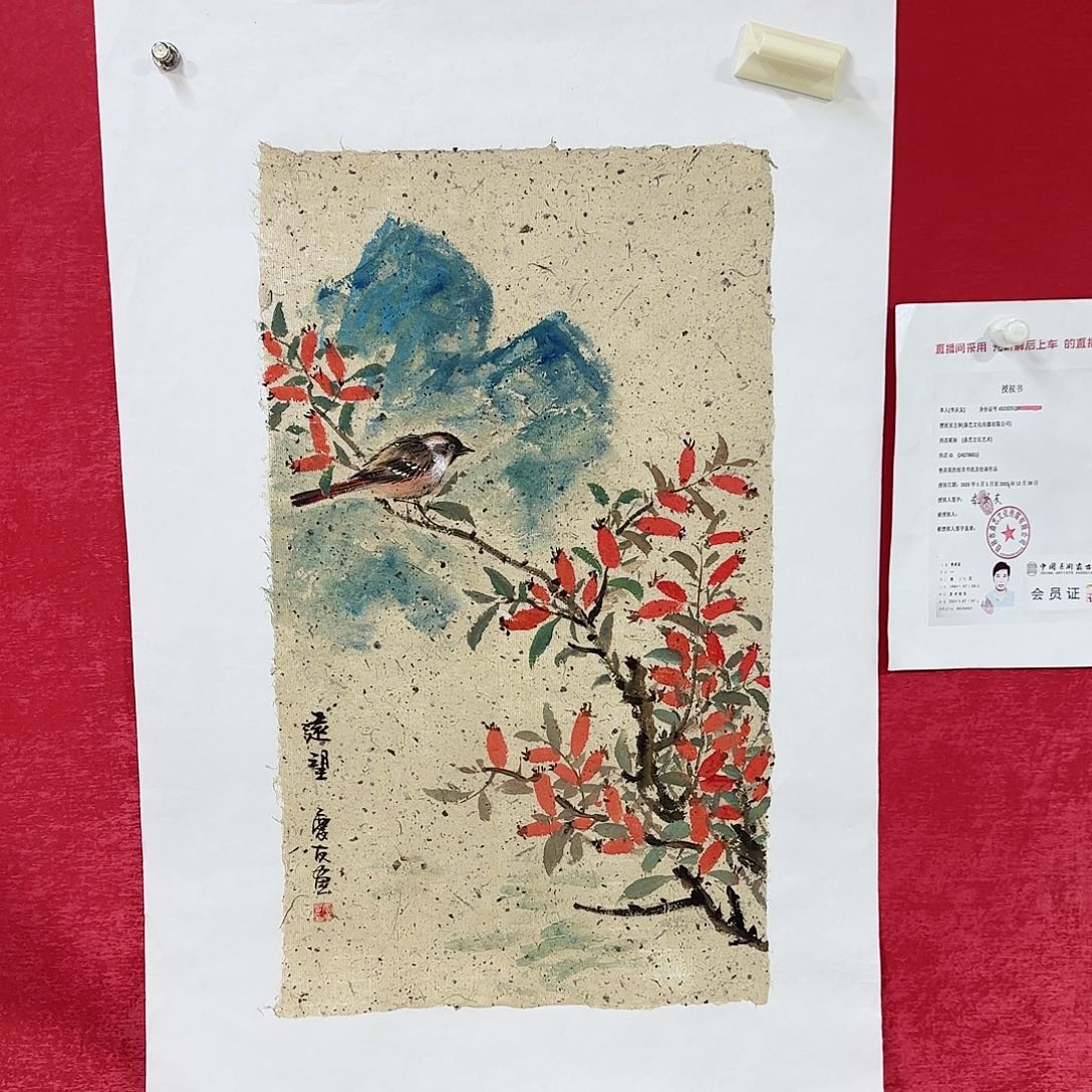 国画红皮书指出在这