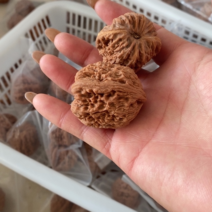 海*南疆石南疆石南疆石