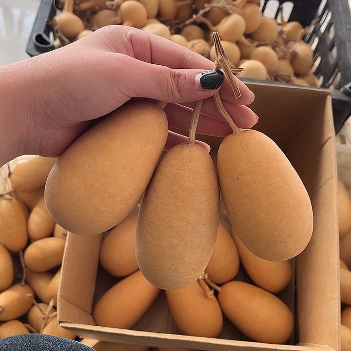 冬瓜葫芦3个响籽厚皮