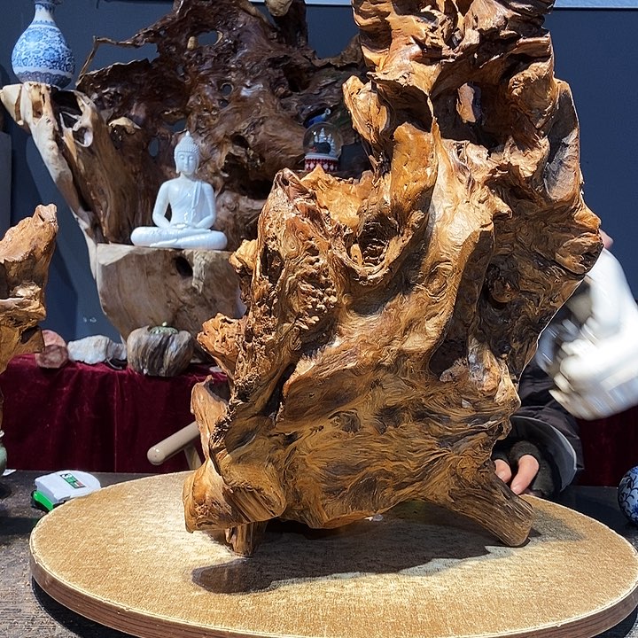 建**境164株木底座随行根艺