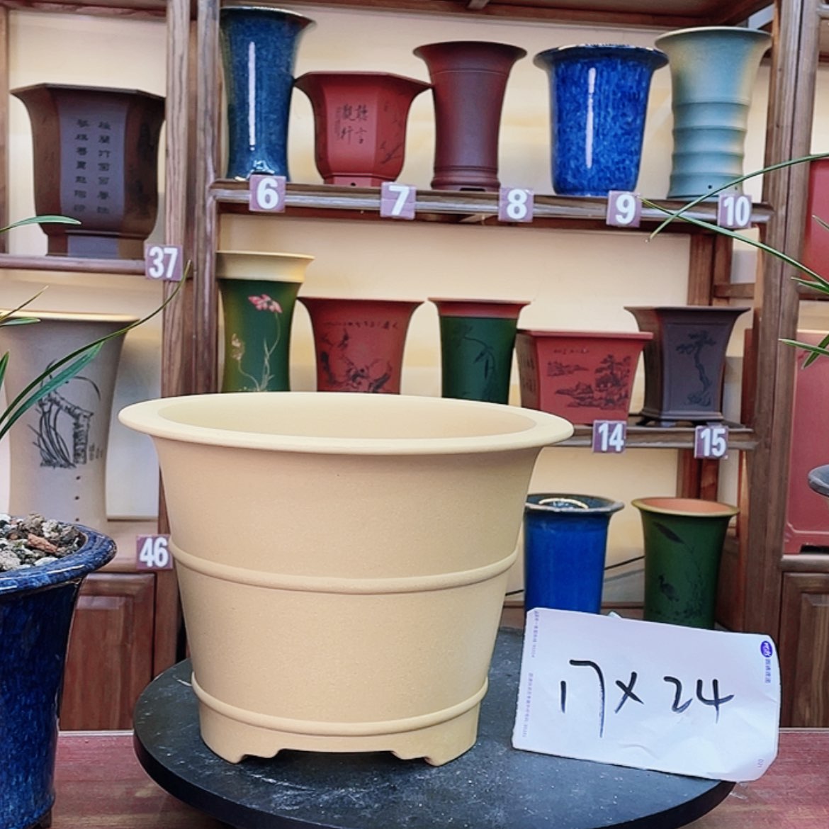 【闪购商品】紫砂花盆兰花45588552558845558