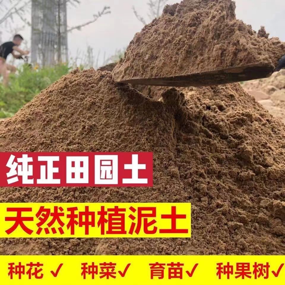 草坪专用土农家田园泥土菜园土家庭阳台种菜养花土无虫普通泥土