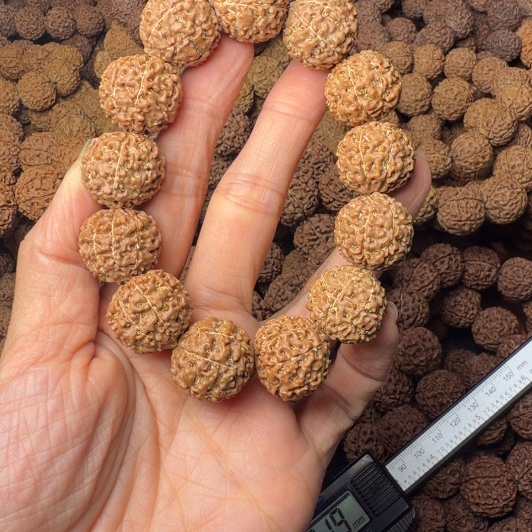 金刚菩提手串8瓣卡18尺，111号